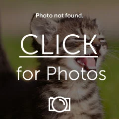02381cf8.webp