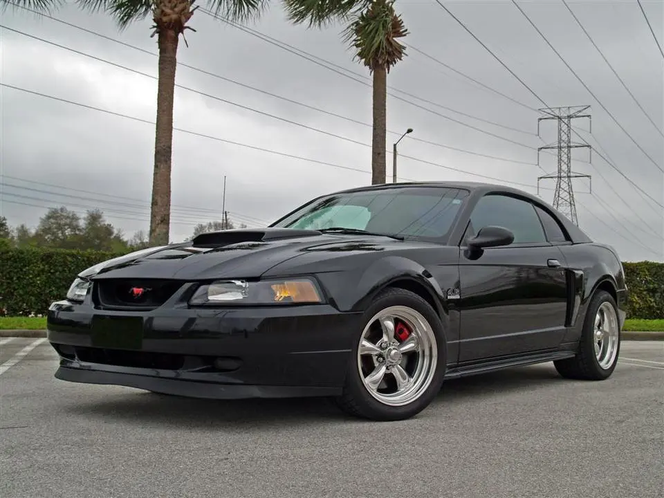 02GT16.webp