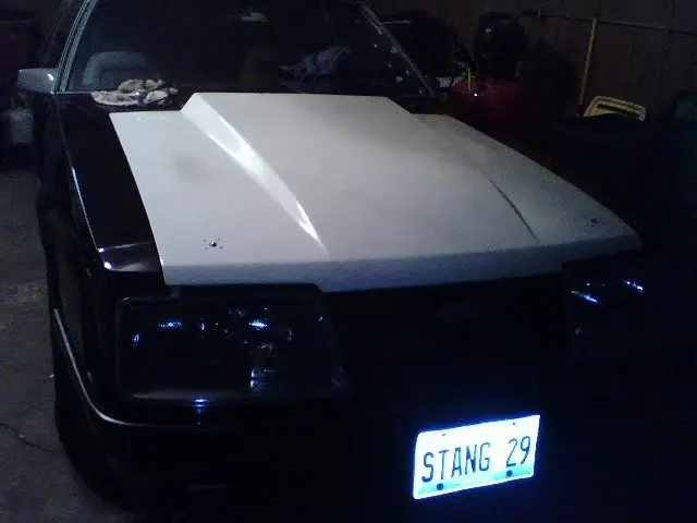 0311081927.webp