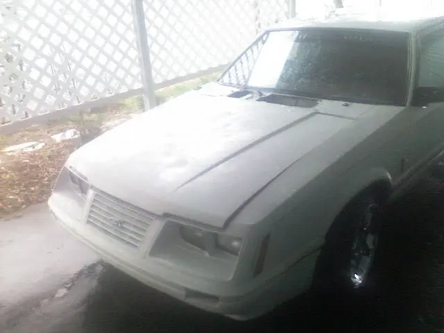 0314091831.webp