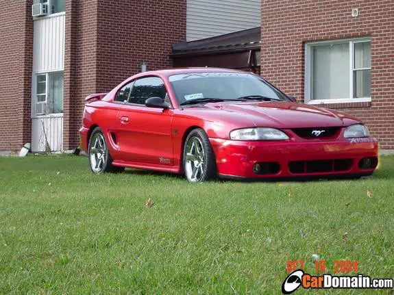 03cobrabumper.webp