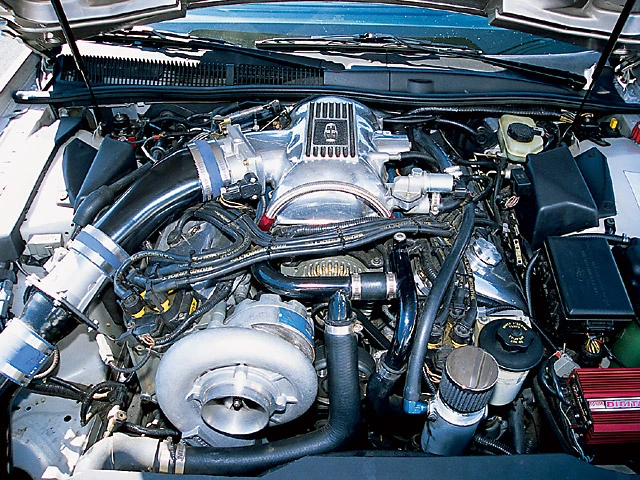 0410mm_luxo_04_z.webp