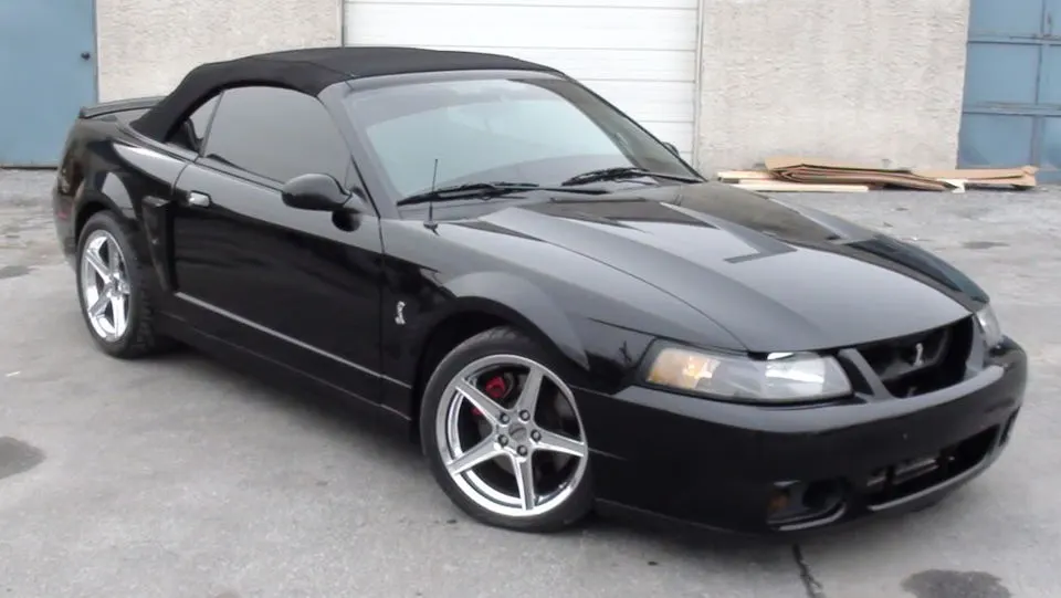 04cobra001.webp