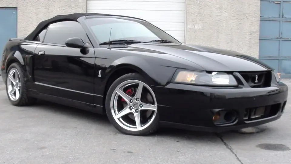 04cobra002.webp
