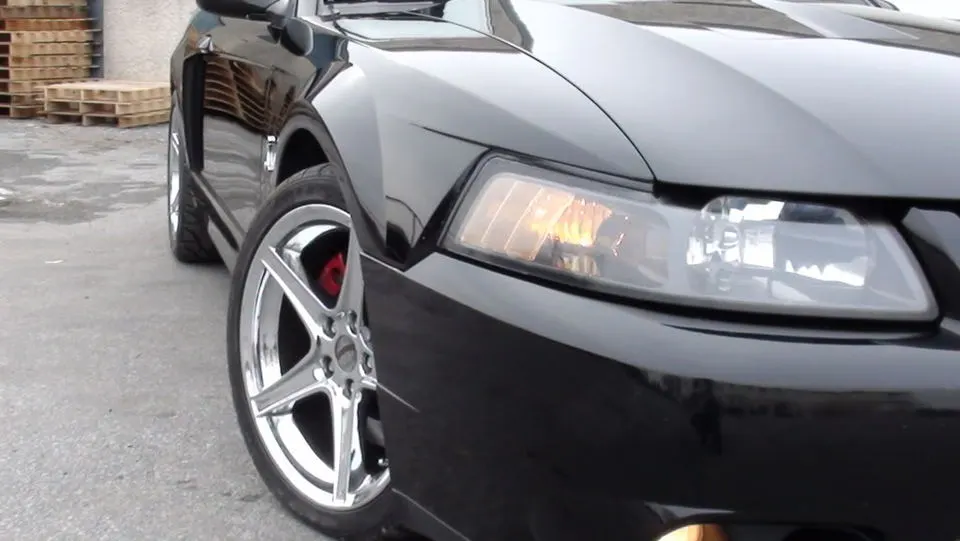 04cobra004.webp