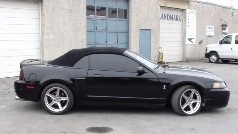 04cobra005.webp
