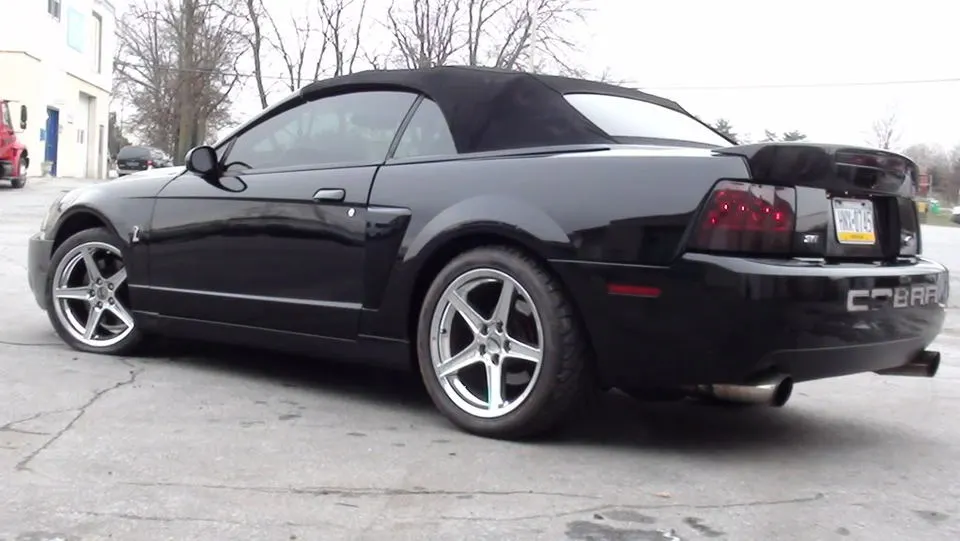 04cobra012.webp