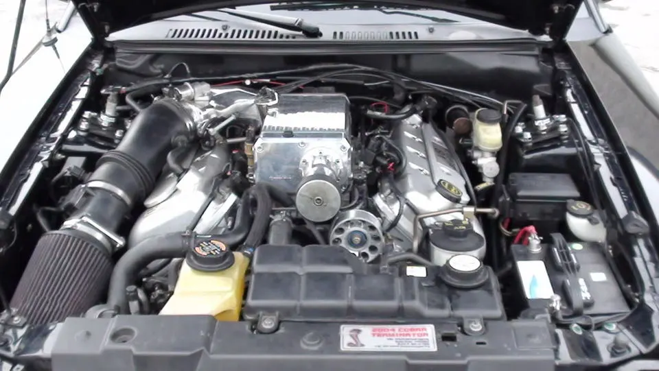 04cobra014.webp