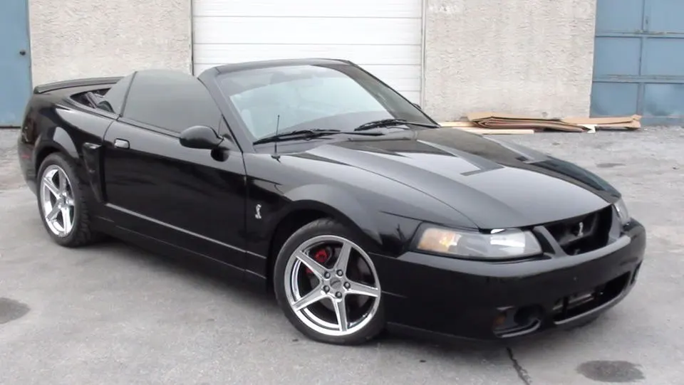 04cobra019.webp