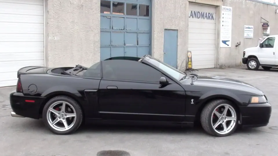 04cobra020.webp