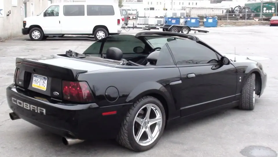 04cobra021.webp