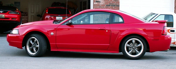 04stang4.webp