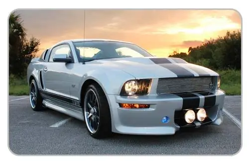 05_stang.webp