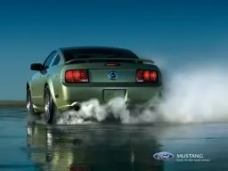 05MustangGTburnout.webp