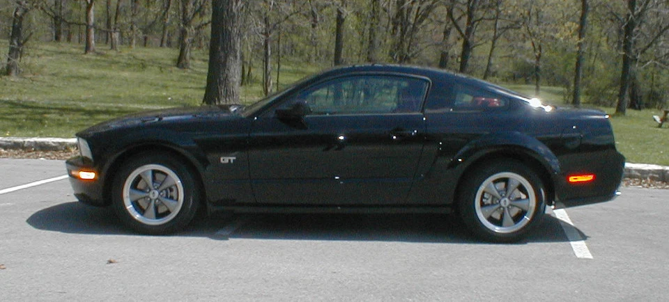 05stang-04.webp