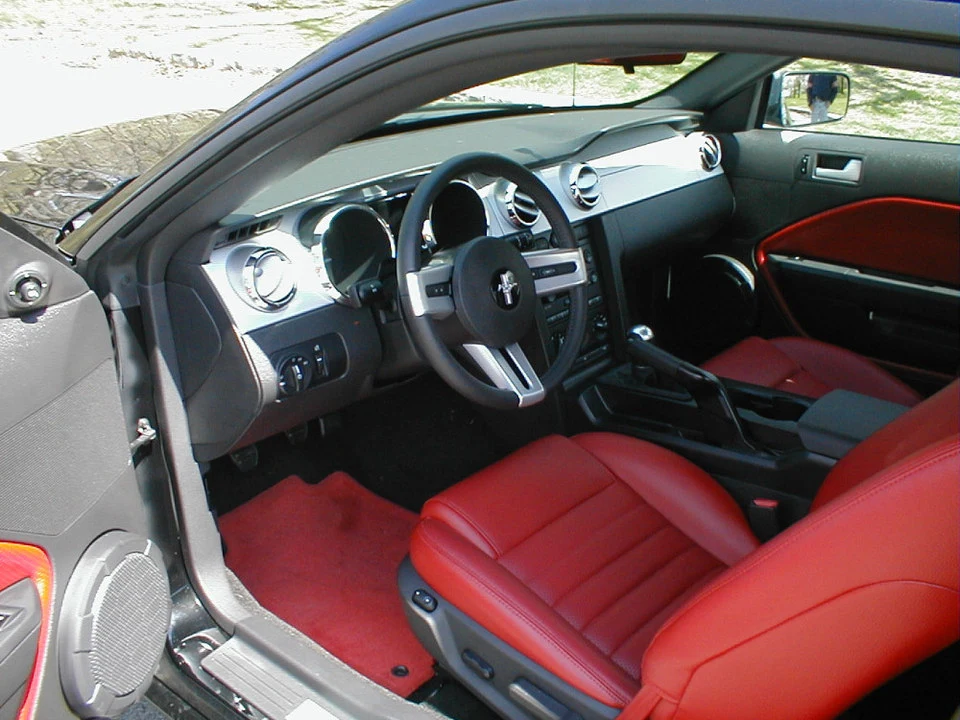 05stang-09.webp