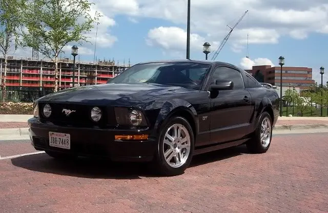 05Stang001.webp