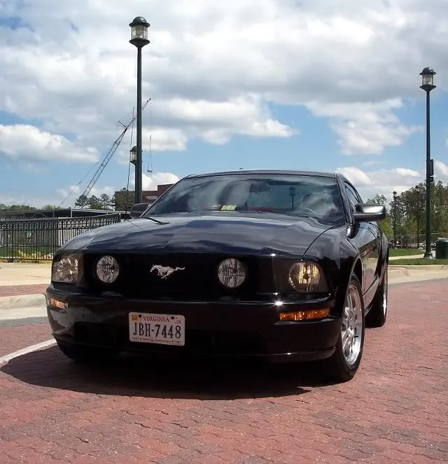 05Stang002.webp