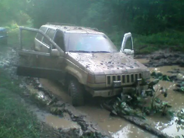 0612082010.webp