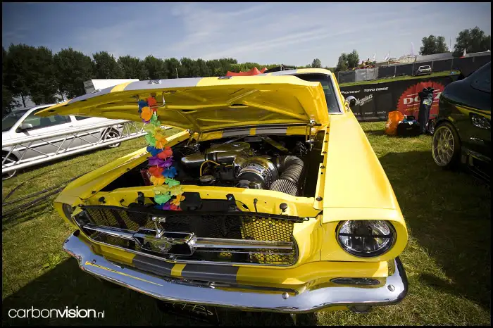 066.webp