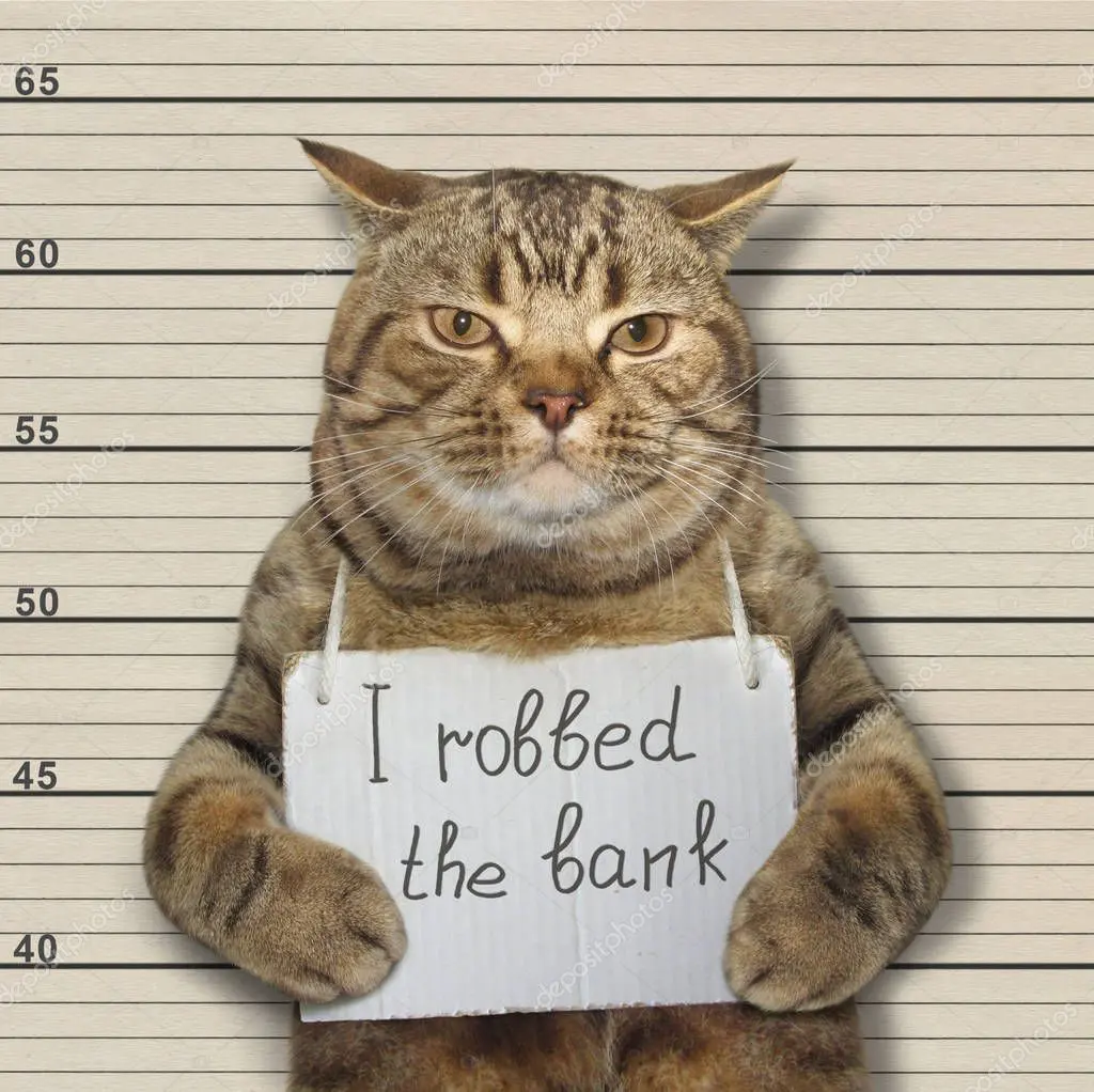 0680BB98-8D0B-4622-A5D6-B2D5C5C9C97C.png
