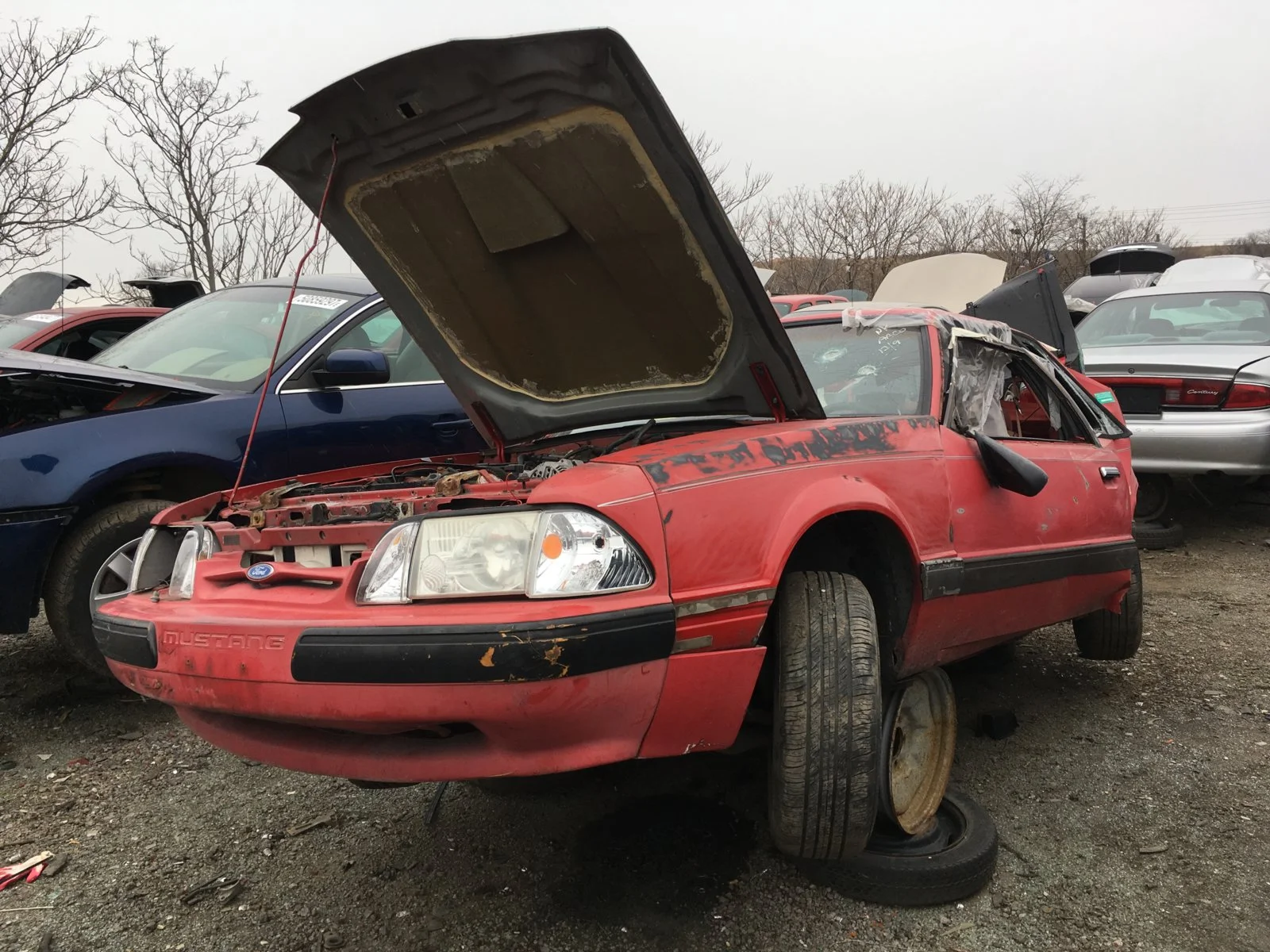 06EDB8FC-1FD6-4DB4-85D1-A56EC2A4BEAB.webp