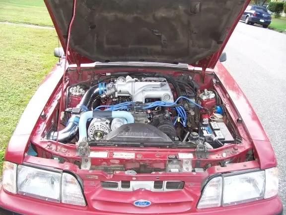 06fbd78a.webp