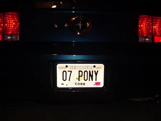 07%20Pony.webp