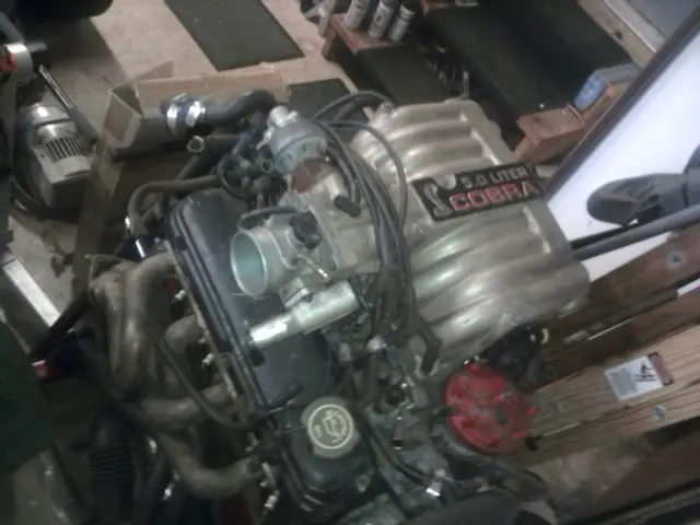 0730101919a.webp