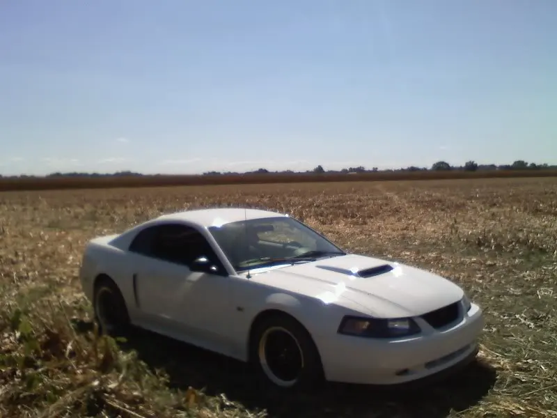 0921001156a.webp