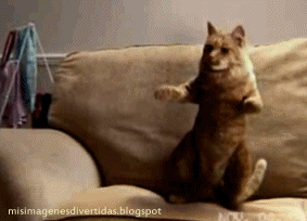 0D2E319F-3CC0-4259-BEAE-92BF286236C9.gif