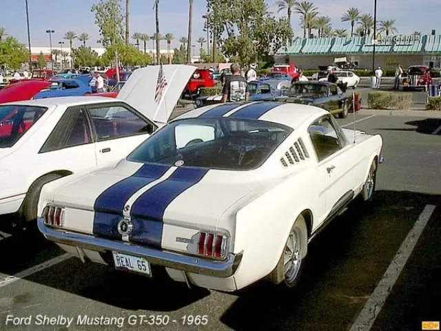 1-shelbygascapemblem.webp