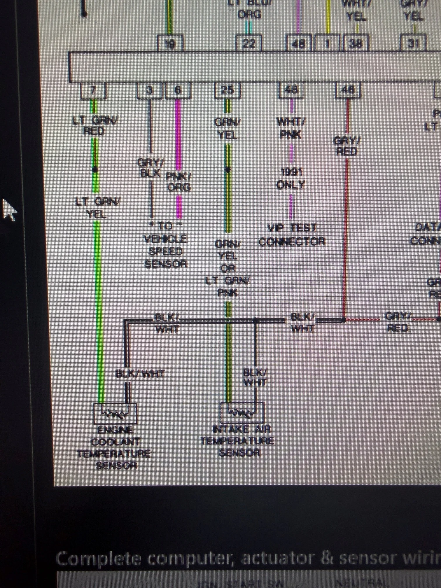 1.webp