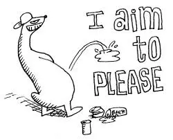1.webp