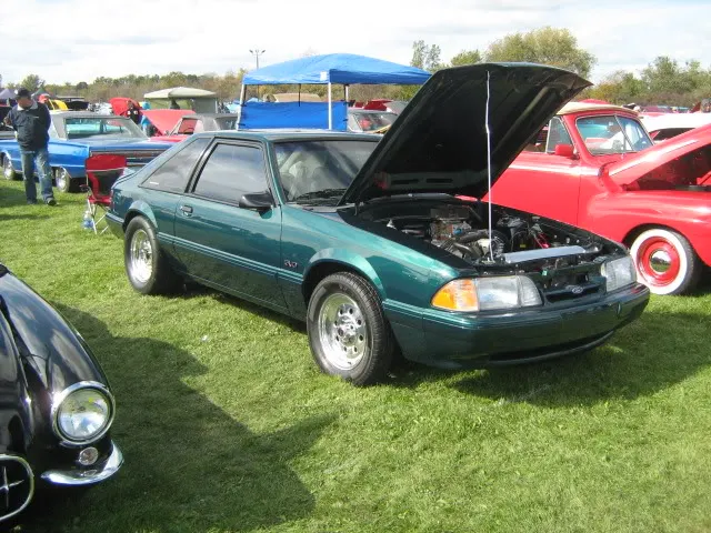 10-11-09015.webp