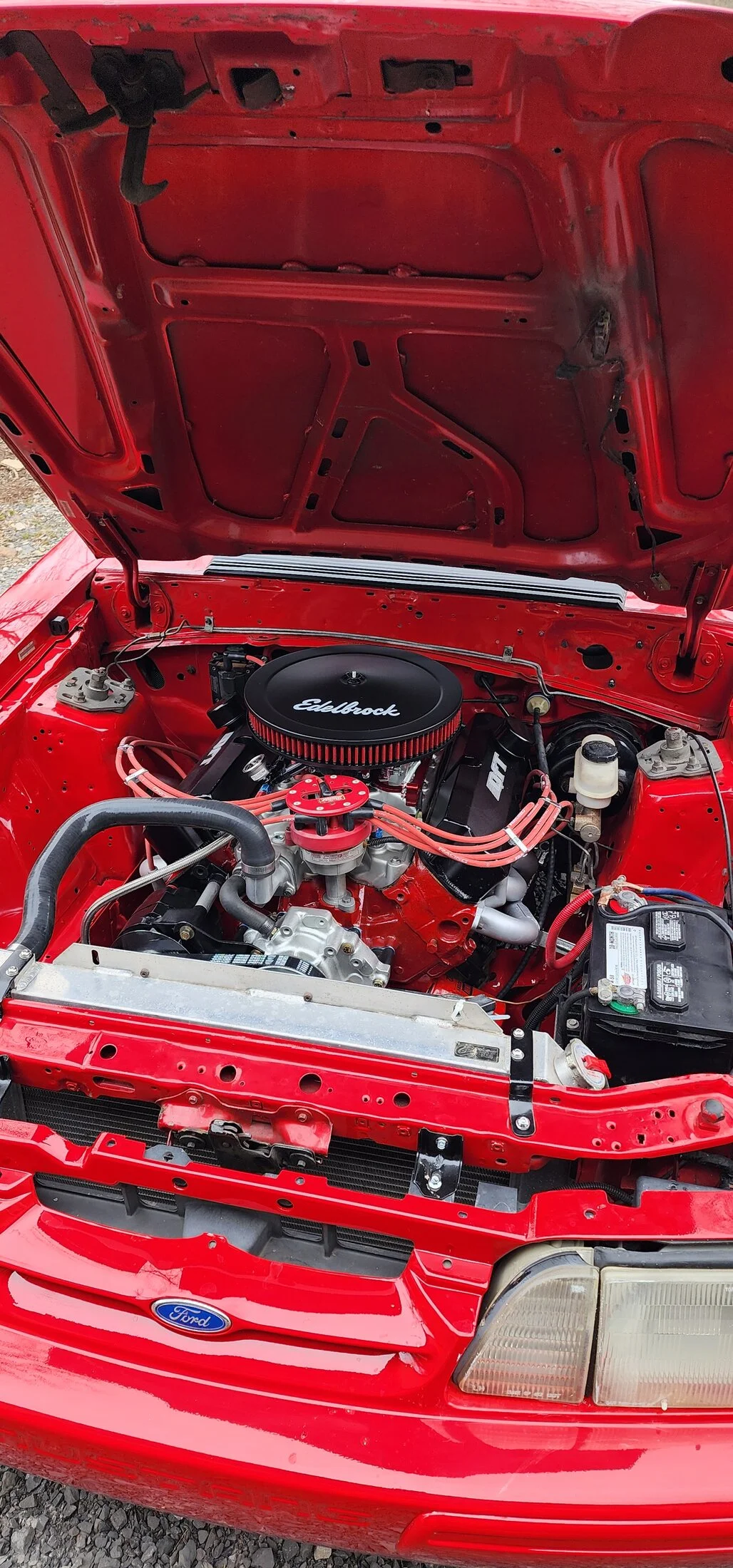 1000016905.jpg