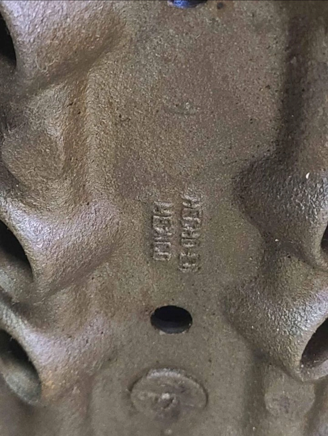 1000021775.jpg