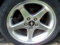 1000974e.th.webp