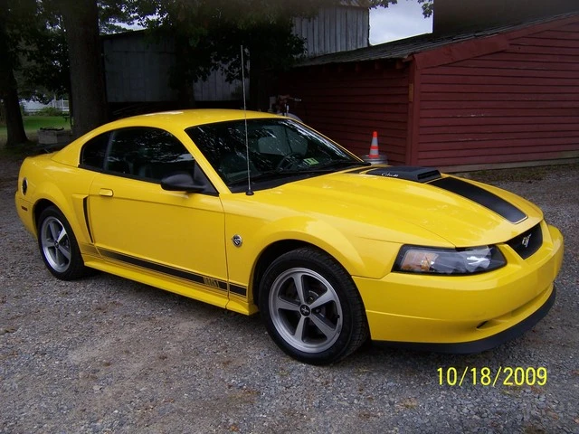 1002006z.webp