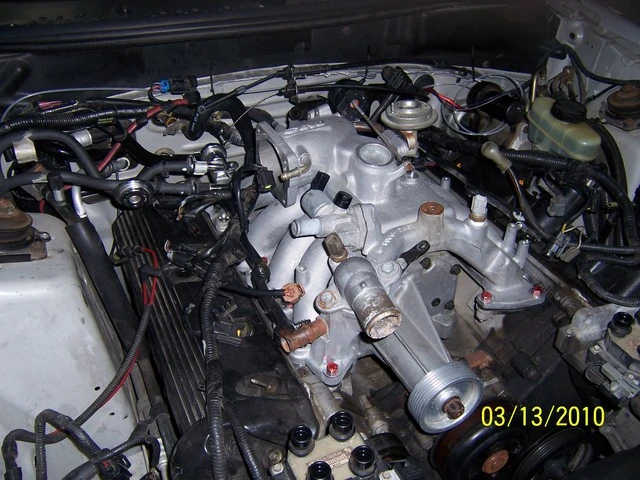 1002195f.webp