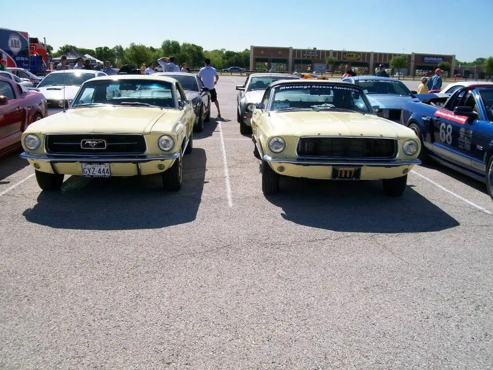 100_0008.webp