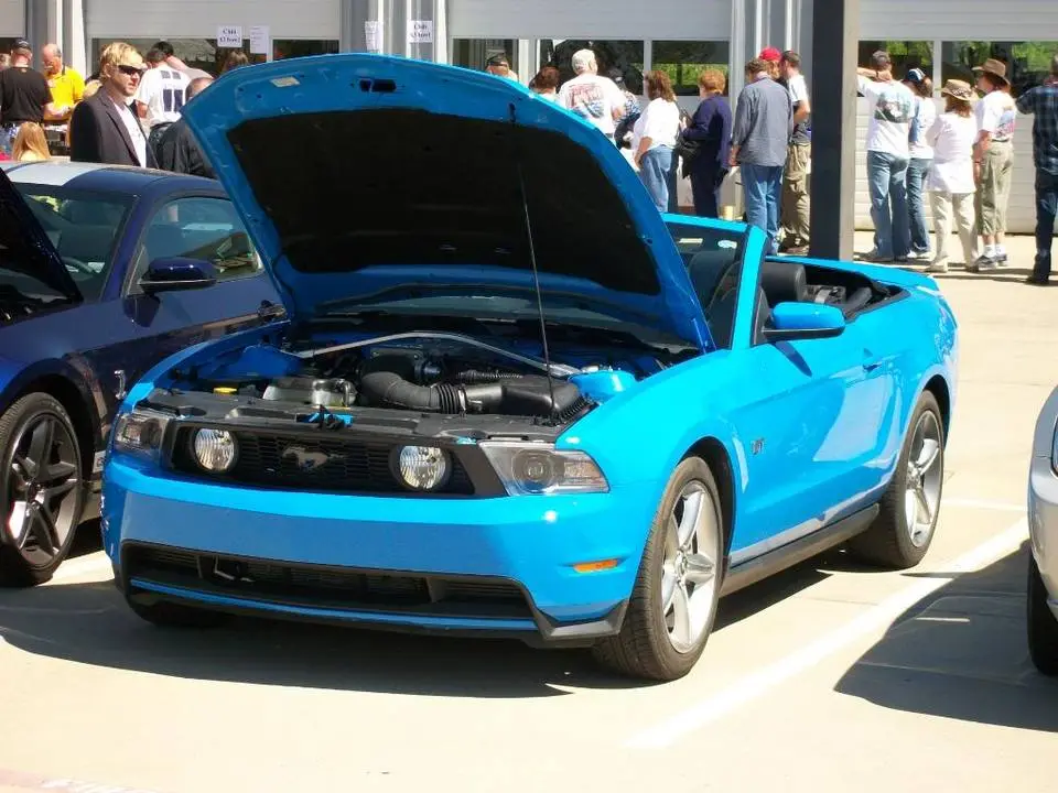 100_0030.webp