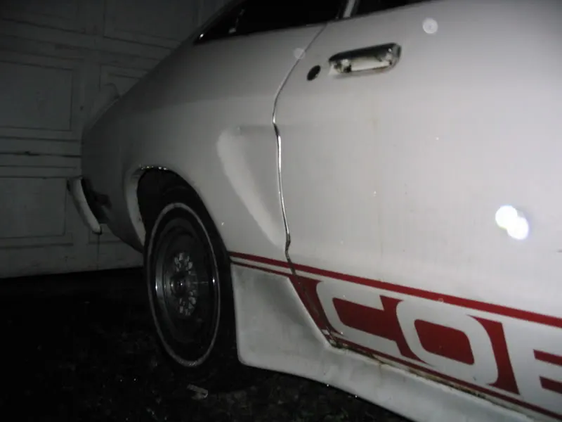100_0031.webp