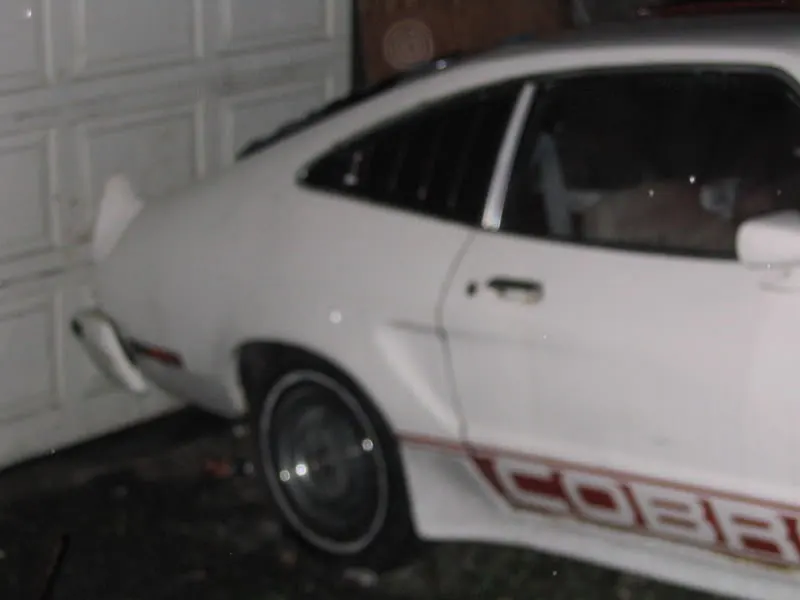 100_0035.webp