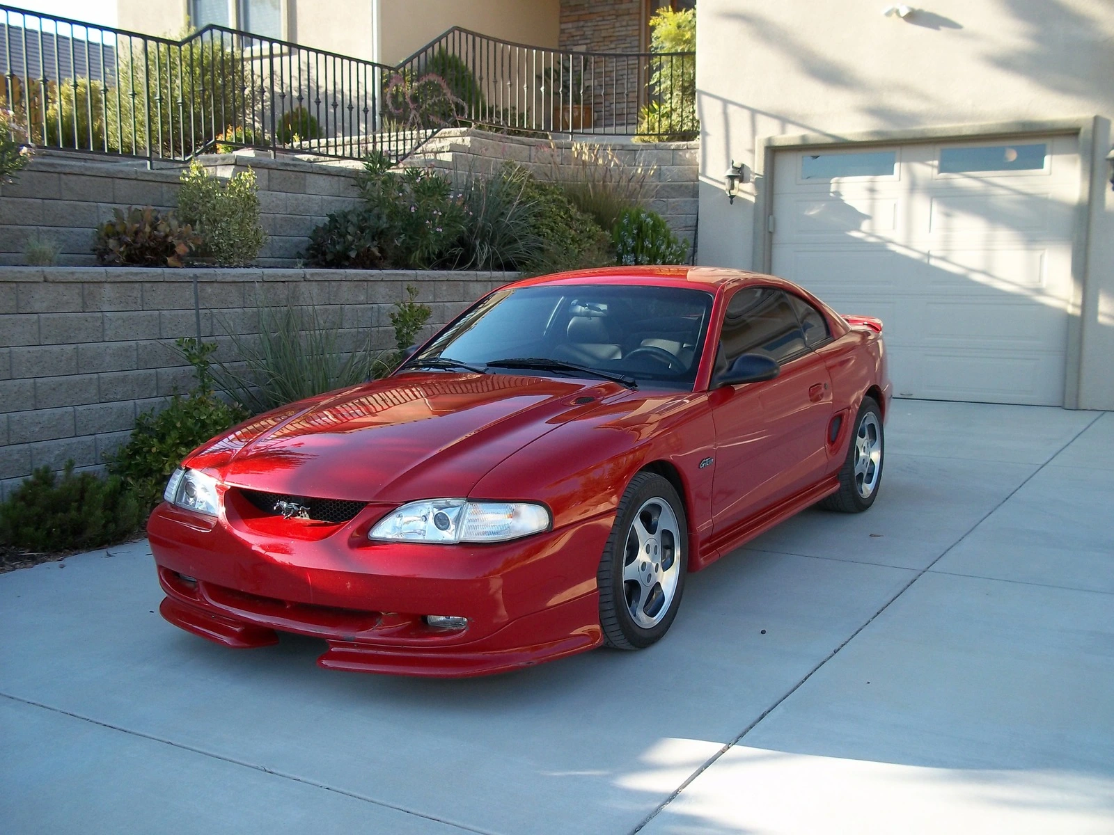 100_0035.webp