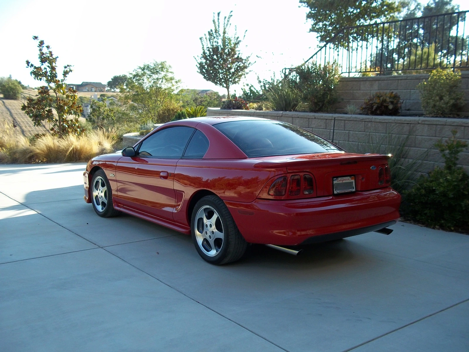 100_0036.webp