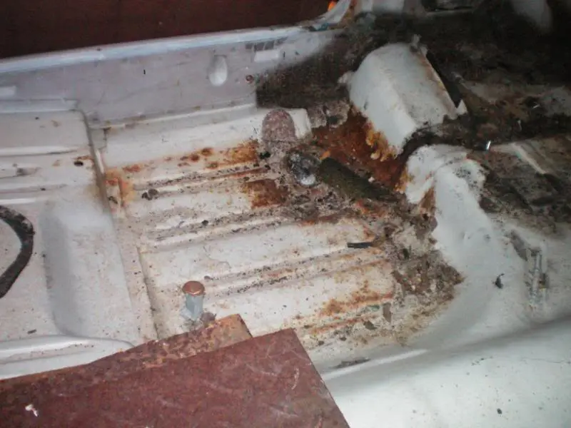 100_0040.webp