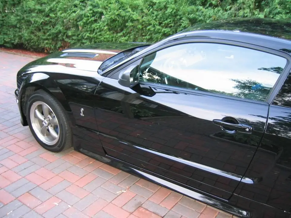 100_0047m.webp