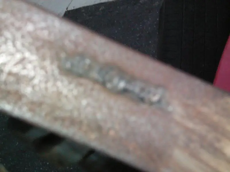 100_0056.webp