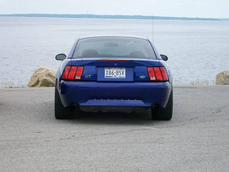 100_0082.webp